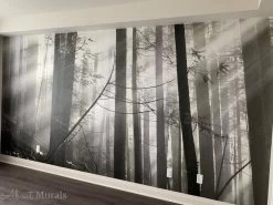 Old Forest Black And White Wall Mural -Wallpaper Mural Shop Old Forest Black and White Wall Mural in a Room
