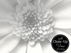 Paper Flower Wallpaper 8 Paper Flower Wallpaper -Wallpaper Mural Shop Paper Flower Wallpaper Close up About Murals