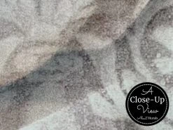 Pastel Rose Wallpaper 6 Pastel Rose Wallpaper -Wallpaper Mural Shop Pastel Rose Wallpaper Close up About Murals