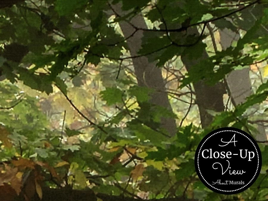 Path Wallpaper 3 Path Wallpaper - Image 3