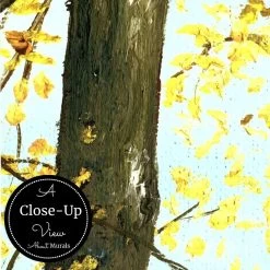 Path Of Light Wall Mural -Wallpaper Mural Shop Path of Light Wall Mural Close up About Murals