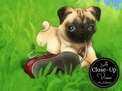 Pet Wallpaper -Wallpaper Mural Shop Pet Wallpaper Close up About Murals