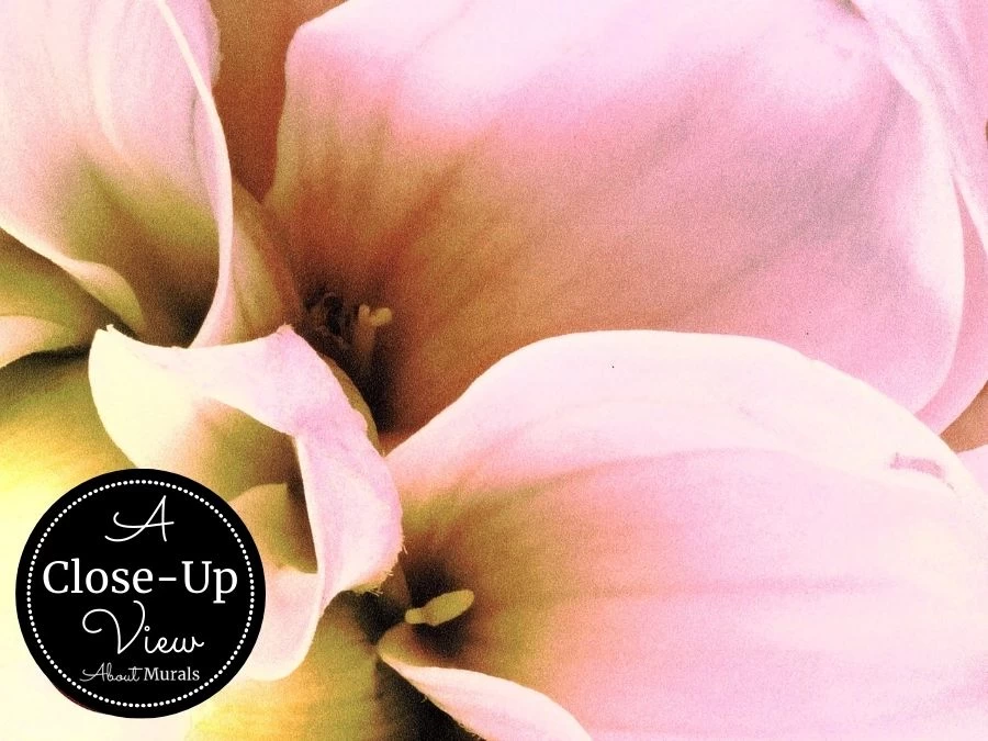 Pink Flower Wallpaper 7 Pink Flower Wallpaper - Image 7