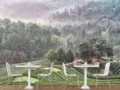 Plantation Wallpaper