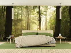 Play Of Lights Wall Mural