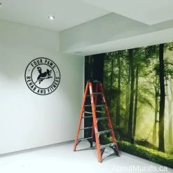 Play Of Lights Wall Mural 8 Play Of Lights Wall Mural -Wallpaper Mural Shop Play of Lights Wall Mural Four Paws Rehab 2 min