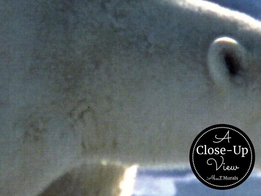 Polar Bear Wallpaper 3 Polar Bear Wallpaper - Image 3