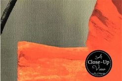 Poppy Wallpaper -Wallpaper Mural Shop Poppy Wallpaper Close up About Murals