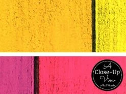 Colorful Wood Wallpaper -Wallpaper Mural Shop Rainbow Wood Wallpaper Close up About Murals