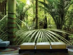 Rainforest Wallpaper