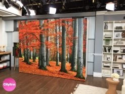 Red Forest Wallpaper -Wallpaper Mural Shop Red Forest Wallpaper Cityline AboutMurals.ca