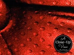 Red Leather Wallpaper 6 Red Leather Wallpaper -Wallpaper Mural Shop Red Leather Wallpaper Close up About Murals