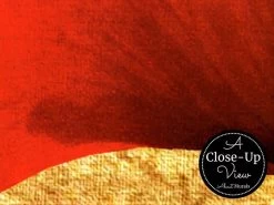 Poppy Flower Wallpaper 6 Poppy Flower Wallpaper -Wallpaper Mural Shop Red Poppy Wallpaper Close up About Murals