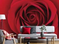 Red Rose Wall Mural