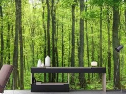 Relaxing Forest Wallpaper