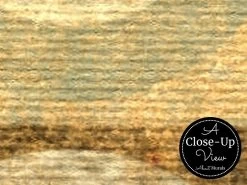 Retro Circle Wallpaper 6 Retro Circle Wallpaper -Wallpaper Mural Shop Retro Circle Wallpaper Close up About Murals