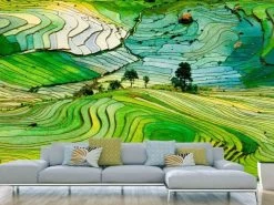 Rice Field Wallpaper