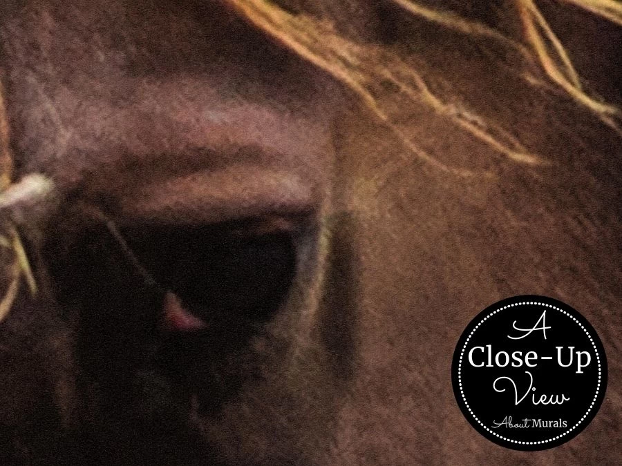 Rodeo Wallpaper 2 Rodeo Wallpaper - Image 2