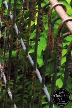 Rope Bridge Wallpaper -Wallpaper Mural Shop Rope Bridge Wallpaper Close up About Murals