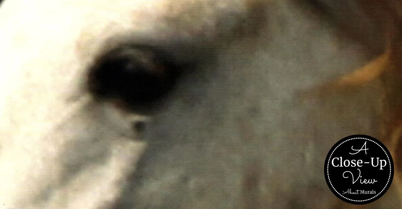 Running Horses Wallpaper 3 Running Horses Wallpaper - Image 3