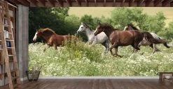 Running Horses Wallpaper