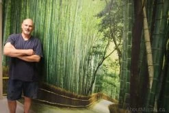 Sagano Bamboo Forest Wall Mural -Wallpaper Mural Shop Sagano Bamboo Forest Wall Mural Hospital min