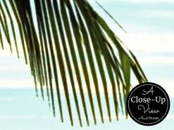 Sea Landscape Wallpaper -Wallpaper Mural Shop Sea Landscape Wallpaper Close up About Murals