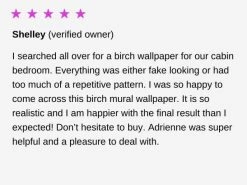 Birch Forest Wallpaper -Wallpaper Mural Shop Shelley Review Birch Tree Forest Black and White Wallpaper About Murals 600x450 1