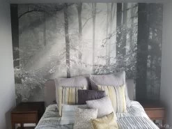 Sinfonia Della Forest Black And White Wall Mural -Wallpaper Mural Shop Sinfonia Della Foresta BW Wall Mural Bedroom min