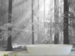 Sinfonia Della Forest Black And White Wall Mural