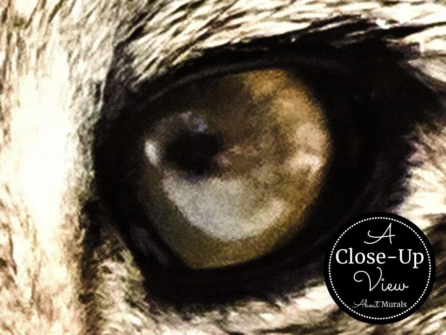 Snow Leopard Wallpaper 3 Snow Leopard Wallpaper - Image 3