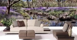 Spring Forest Wallpaper