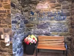 Stone Wall Mural 10 Stone Wall Mural -Wallpaper Mural Shop Stone Wall Mural The Pearl Hummingbird Hamilton min