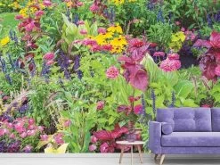 Summer Flower Wallpaper