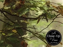 Sun Rays Wallpaper 6 Sun Rays Wallpaper -Wallpaper Mural Shop Sun Rays Wallpaper Close up About Murals