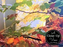 Sunny Autumn Wallpaper -Wallpaper Mural Shop Sunny Autumn Wallpaper Closeup About Murals