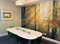 Sunny Autumn Wallpaper -Wallpaper Mural Shop Sunny Autumn Wallpaper Dining Room About Murals
