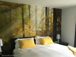 Sunny Autumn Wallpaper -Wallpaper Mural Shop Sunny Autumn Wallpaper Fall Themed Bedroom About Murals