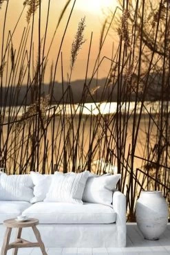 Sunset Lake Wallpaper