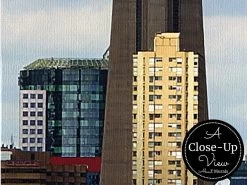 Toronto Wallpaper 6 Toronto Wallpaper -Wallpaper Mural Shop Toronto Wallpaper Close up About Murals