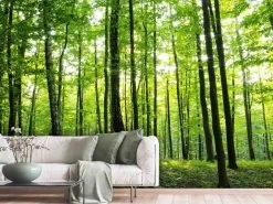 Tranquil Forest Wallpaper