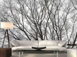 Tree Branch Wallpaper