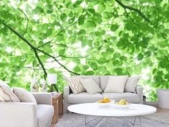Tree Leaves Wallpaper