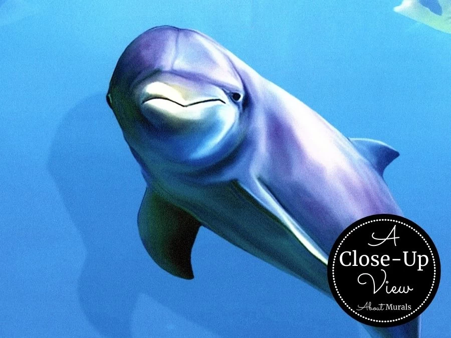 Under The Sea Wallpaper 3 Under The Sea Wallpaper - Image 3