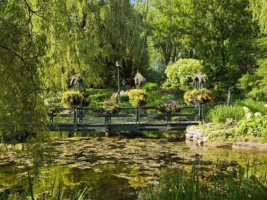 Water Garden Wallpaper 2 Water Garden Wallpaper - Image 2