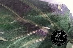 Watercolor Leaf Wallpaper -Wallpaper Mural Shop Watercolor Leaf Wallpaper Closeup About Murals.jpeg