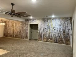 White Birch Wallpaper 12 White Birch Wallpaper -Wallpaper Mural Shop White Birch Wallpaper Basement About Murals