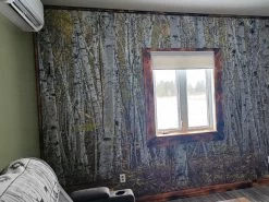 White Birch Wallpaper 11 White Birch Wallpaper -Wallpaper Mural Shop White Birch Wallpaper Cottage About Murals min