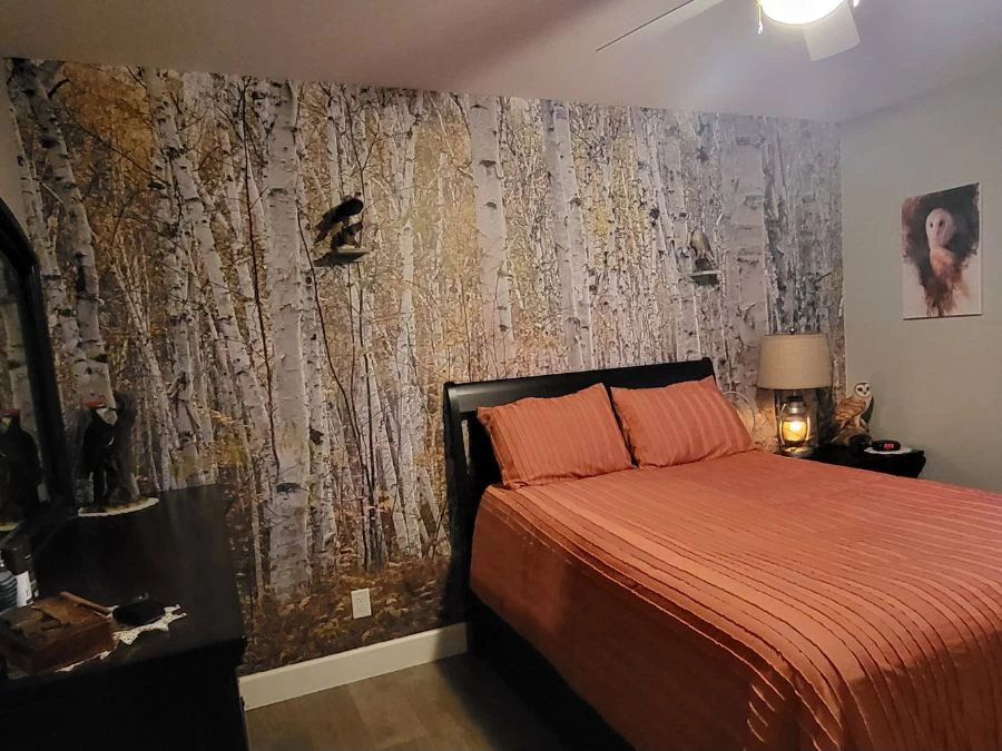 White Birch Wallpaper 2 White Birch Wallpaper - Image 2