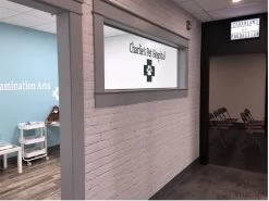 White Brick Wall Mural 10 White Brick Wall Mural -Wallpaper Mural Shop White Brick Wall Mural The Pearl Hummingbird min